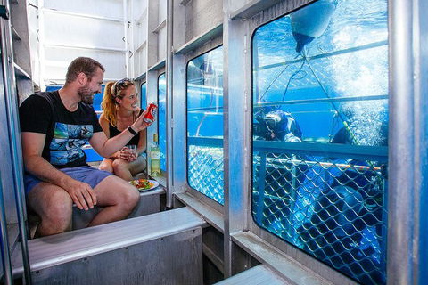 White Shark Tour With Optional Cage Dive From Port Lincoln - Kempsey Accommodation 4