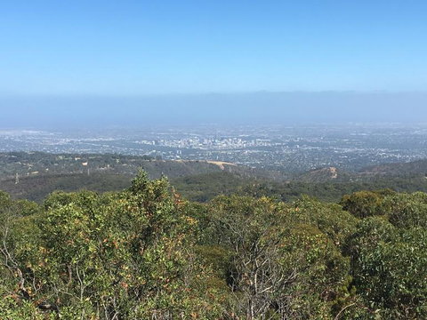 Adelaide Hills And Hahndorf Tour From Adelaide With Wine And Cheese Tasting - Kempsey Accommodation 8