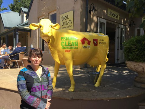 Adelaide Hills And Hahndorf Tour From Adelaide With Wine And Cheese Tasting - Kempsey Accommodation 2