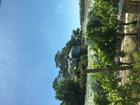 Adelaide Hills And Hahndorf Tour From Adelaide With Wine And Cheese Tasting - Kempsey Accommodation 7