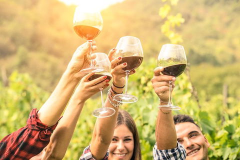 Adelaide Hills Day Tour. Winery Cellar Doors - Kempsey Accommodation 6