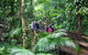 Full Day Daintree Rainforest And Mossman Gorge Tour - thumb 0
