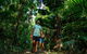 Full Day Daintree Rainforest And Mossman Gorge Tour - thumb 12