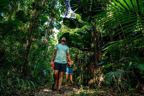 Full Day Daintree Rainforest And Mossman Gorge Tour - Kempsey Accommodation 12