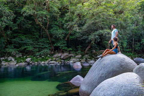 Full Day Daintree Rainforest And Mossman Gorge Tour - Kempsey Accommodation 5