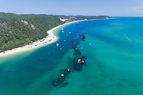 Cape Moreton Scenic 4WD Day Tour From Brisbane Or The Gold Coast - Kempsey Accommodation 8