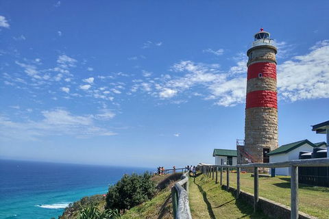 Cape Moreton Scenic 4WD Day Tour From Brisbane Or The Gold Coast - Kempsey Accommodation 6