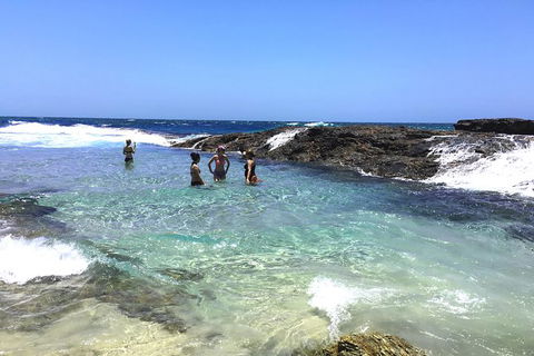 Cape Moreton Scenic 4WD Day Tour From Brisbane Or The Gold Coast - Kempsey Accommodation 3
