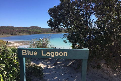 Cape Moreton Scenic 4WD Day Tour From Brisbane Or The Gold Coast - Kempsey Accommodation 4