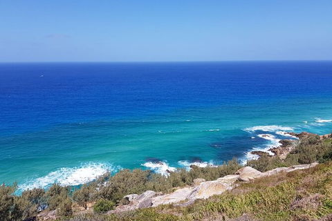Cape Moreton Scenic 4WD Day Tour From Brisbane Or The Gold Coast - Kempsey Accommodation 7