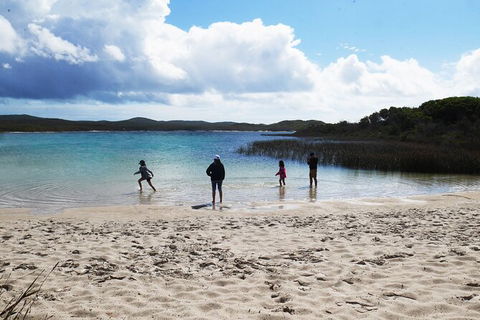 Cape Moreton Scenic 4WD Day Tour From Brisbane Or The Gold Coast - Kempsey Accommodation 5
