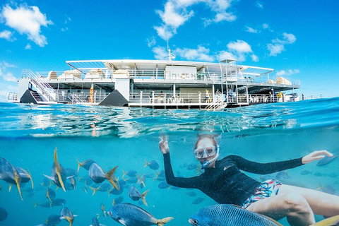 2-Day Great Barrier Reef Reefsleep Experience - Kempsey Accommodation 8