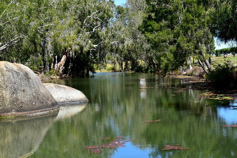 Daintree - Cape Tribulation & Atherton Tablelands Tours From Port Douglas - Kempsey Accommodation 28