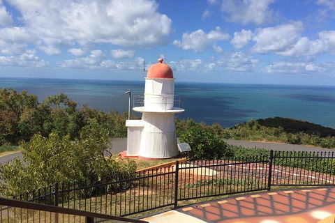 Daintree - Cape Tribulation & Atherton Tablelands Tours From Port Douglas - Kempsey Accommodation 21