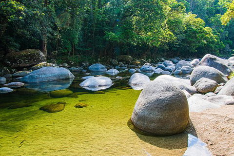 Daintree - Cape Tribulation & Atherton Tablelands Tours From Port Douglas - Kempsey Accommodation 6