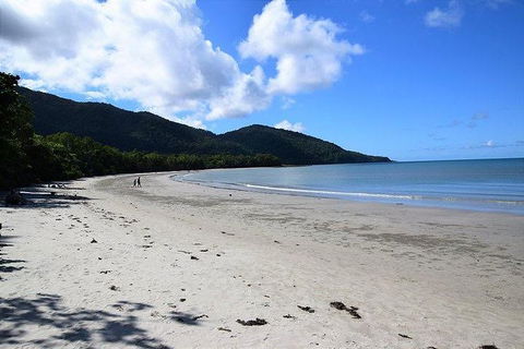Daintree - Cape Tribulation & Atherton Tablelands Tours From Port Douglas - Kempsey Accommodation 18