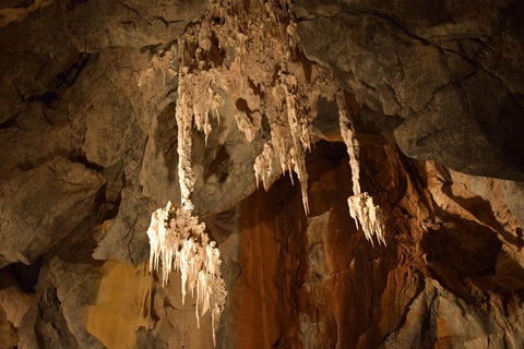 Daintree - Cape Tribulation & Atherton Tablelands Tours From Port Douglas - Kempsey Accommodation 23