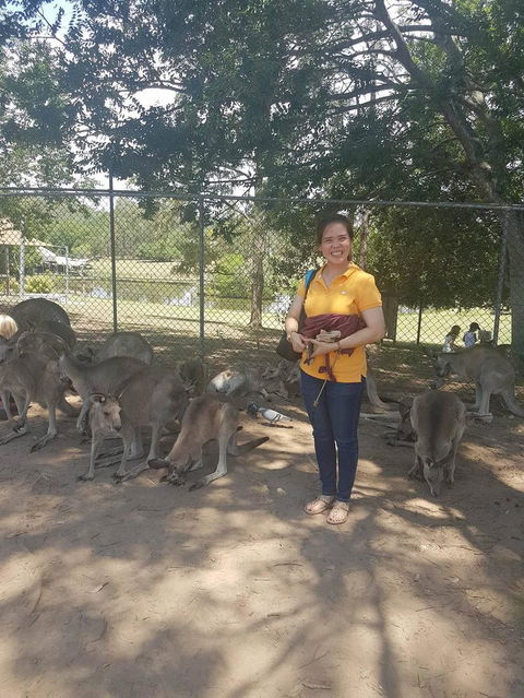 Lone Pine Koala Sanctuary Admission With Brisbane River Cruise - Kempsey Accommodation 17