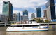 Lone Pine Koala Sanctuary Admission With Brisbane River Cruise - thumb 0