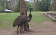 Lone Pine Koala Sanctuary Admission With Brisbane River Cruise - thumb 5