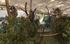 Lone Pine Koala Sanctuary Admission With Brisbane River Cruise - thumb 16
