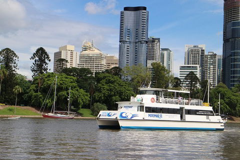 Lone Pine Koala Sanctuary Admission With Brisbane River Cruise - Kempsey Accommodation 32