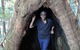 Springbrook National Park Discovery Full-Day Bushwalking Tour - thumb 5