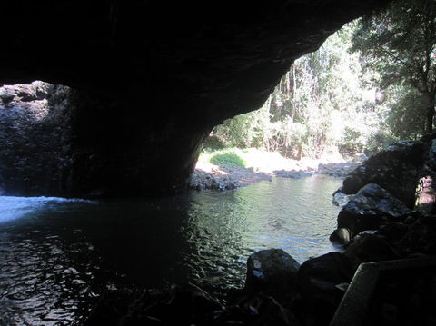 Springbrook National Park Discovery Full-Day Bushwalking Tour - Kempsey Accommodation 18