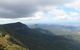 Springbrook National Park Discovery Full-Day Bushwalking Tour - thumb 3