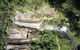 Springbrook National Park Discovery Full-Day Bushwalking Tour - thumb 23