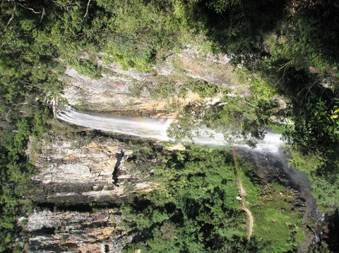 Springbrook National Park Discovery Full-Day Bushwalking Tour - Kempsey Accommodation 23