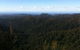 Springbrook National Park Discovery Full-Day Bushwalking Tour - thumb 25