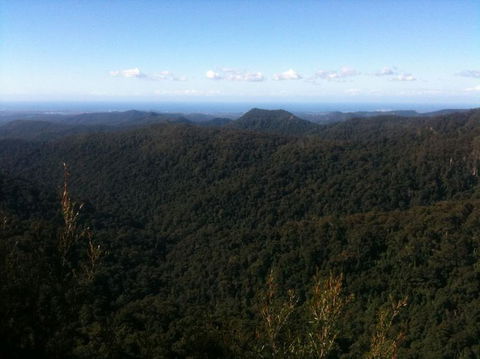 Springbrook National Park Discovery Full-Day Bushwalking Tour - Kempsey Accommodation 25