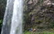 Springbrook National Park Discovery Full-Day Bushwalking Tour - thumb 1
