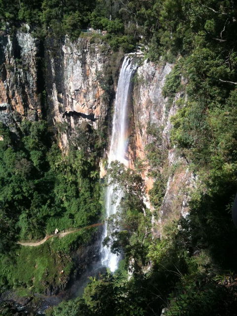 Springbrook National Park Discovery Full-Day Bushwalking Tour - Kempsey Accommodation 24