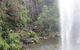 Springbrook National Park Discovery Full-Day Bushwalking Tour - thumb 16
