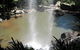 Springbrook National Park Discovery Full-Day Bushwalking Tour - thumb 13