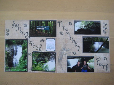 Springbrook National Park Discovery Full-Day Bushwalking Tour - Kempsey Accommodation 19