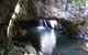 Springbrook National Park Discovery Full-Day Bushwalking Tour - thumb 7