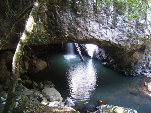 Springbrook National Park Discovery Full-Day Bushwalking Tour - Kempsey Accommodation 7