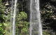 Springbrook National Park Discovery Full-Day Bushwalking Tour - thumb 20