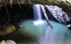 Springbrook National Park Discovery Full-Day Bushwalking Tour - thumb 6