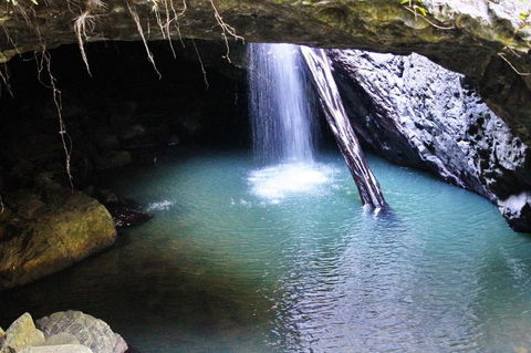 Springbrook National Park Discovery Full-Day Bushwalking Tour - Kempsey Accommodation 6