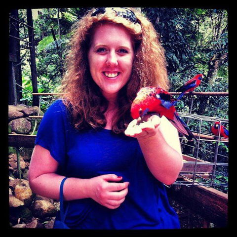 Springbrook National Park Discovery Full-Day Bushwalking Tour - Kempsey Accommodation 8