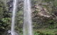 Springbrook National Park Discovery Full-Day Bushwalking Tour - thumb 17