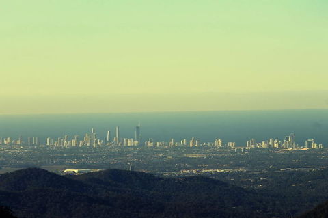 Springbrook National Park Discovery Full-Day Bushwalking Tour - Kempsey Accommodation 4