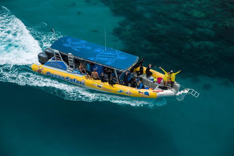 Ocean Safari Great Barrier Reef Experience In Cape Tribulation - Kempsey Accommodation 1