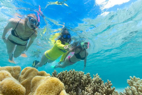 Ocean Safari Great Barrier Reef Experience In Cape Tribulation - Kempsey Accommodation 4