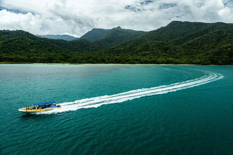 Ocean Safari Great Barrier Reef Experience In Cape Tribulation - Kempsey Accommodation 6