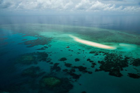 Ocean Safari Great Barrier Reef Experience In Cape Tribulation - Kempsey Accommodation 16
